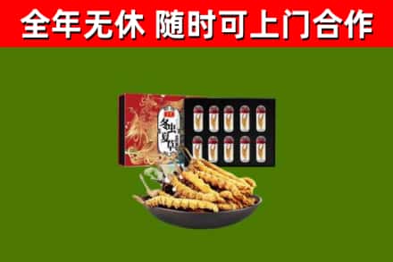 和静县烟酒回收冬虫夏草礼盒.jpg